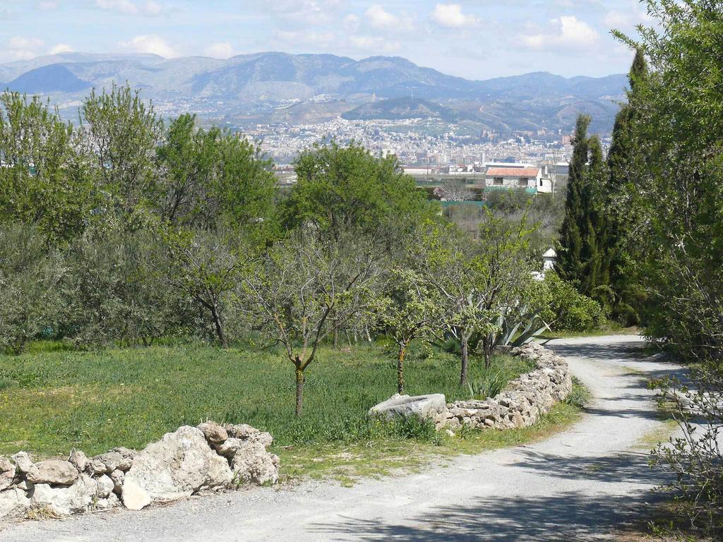Гостевой дом Cortijo Algabia Алендин Экстерьер фото