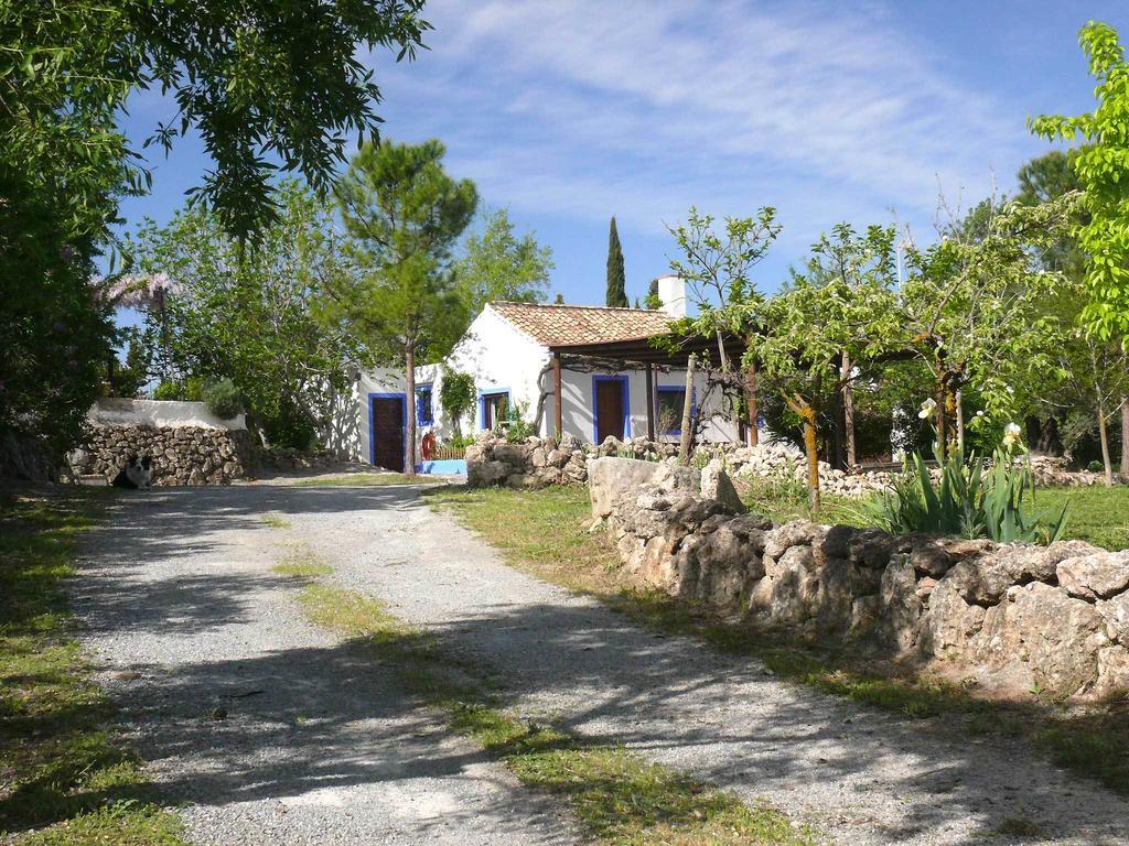 Гостевой дом Cortijo Algabia Алендин Экстерьер фото